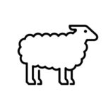 Mutton(Australia,Spain,Ukraine and India)